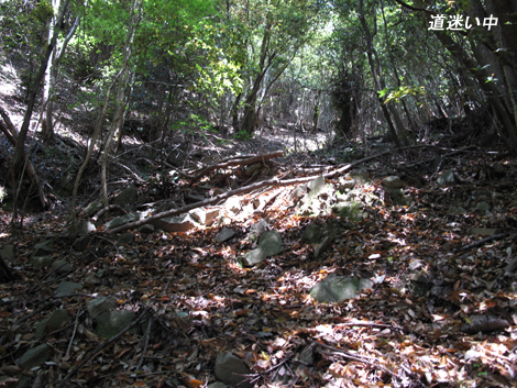20140426hike (29)